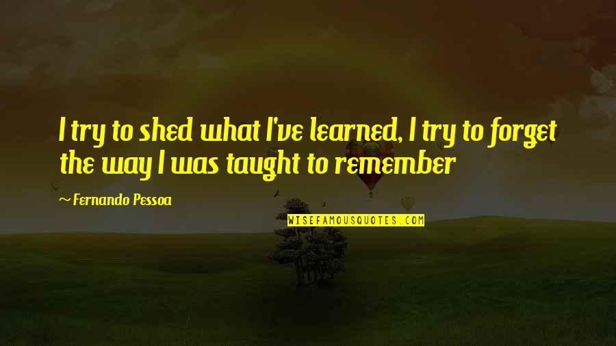 God Dont Like Evil Quotes By Fernando Pessoa: I try to shed what I've learned, I