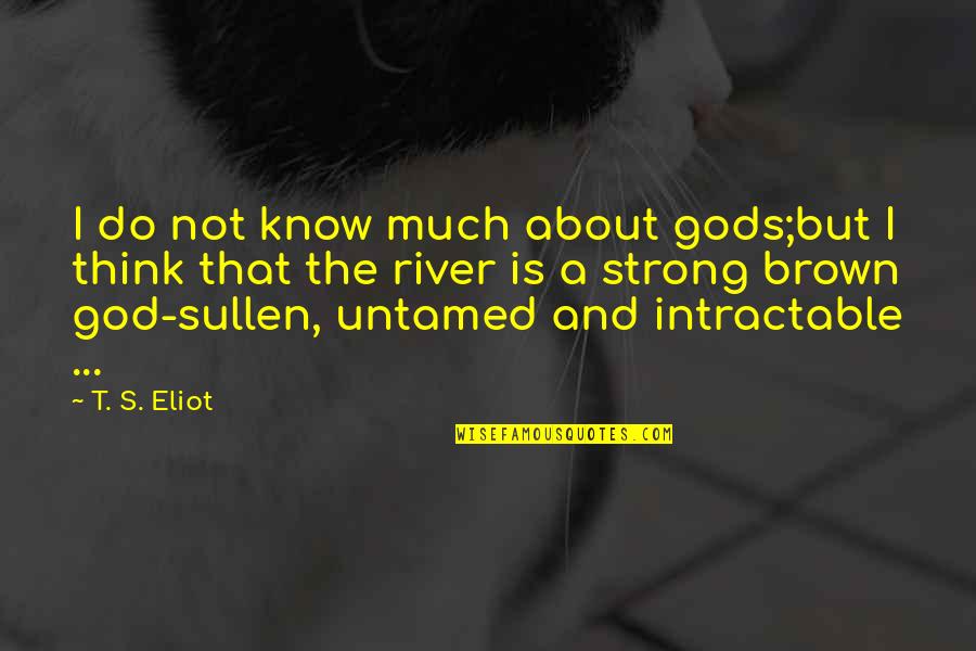 God Finest Quotes By T. S. Eliot: I do not know much about gods;but I