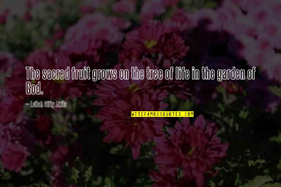 God Garden Quotes By Lailah Gifty Akita: The sacred fruit grows on the tree of