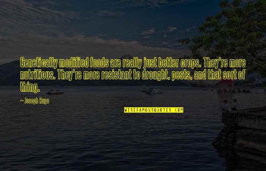 God Gave Me You For The Ups And Downs Quotes By Joseph Rago: Genetically modified foods are really just better crops.