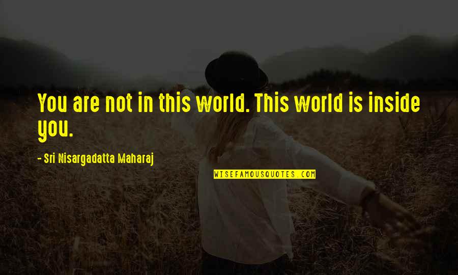 God Give Me Power To Change Things Quotes By Sri Nisargadatta Maharaj: You are not in this world. This world