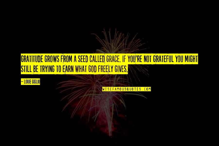 God Gives You Quotes By Louie Giglio: Gratitude grows from a seed called grace. If