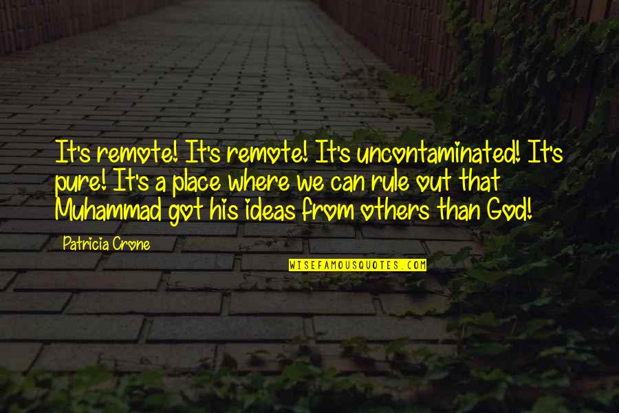 God Got It Quotes By Patricia Crone: It's remote! It's remote! It's uncontaminated! It's pure! God Got It Quotes By Patricia Crone: It's remote! It's remote! It's uncontaminated! It's pure!