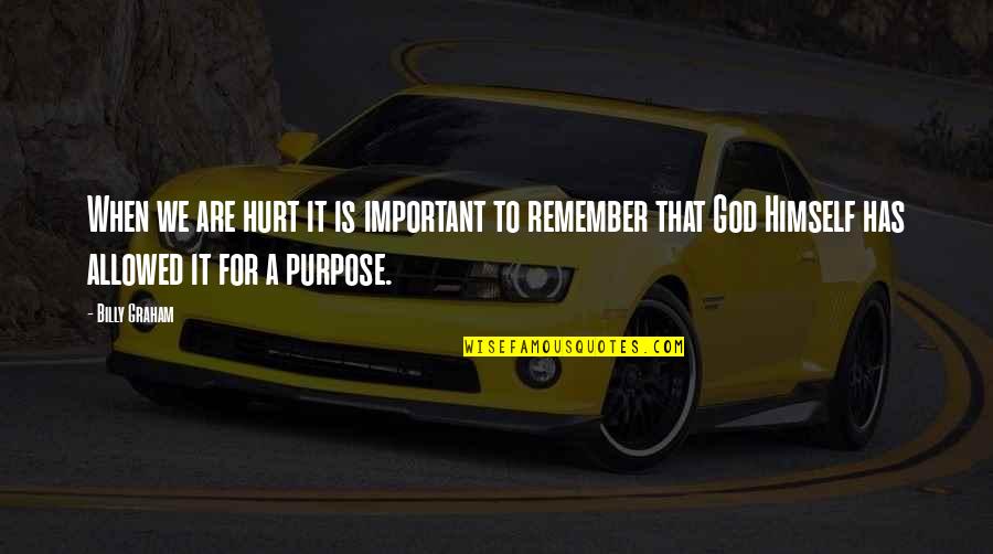 God Has A Purpose Quotes By Billy Graham: When we are hurt it is important to