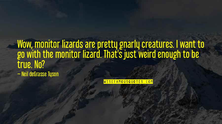 God Has Better Plans Quotes By Neil DeGrasse Tyson: Wow, monitor lizards are pretty gnarly creatures. I God Has Better Plans Quotes By Neil DeGrasse Tyson: Wow, monitor lizards are pretty gnarly creatures. I