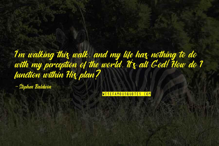 God Has His Plan Quotes By Stephen Baldwin: I'm walking this walk, and my life has