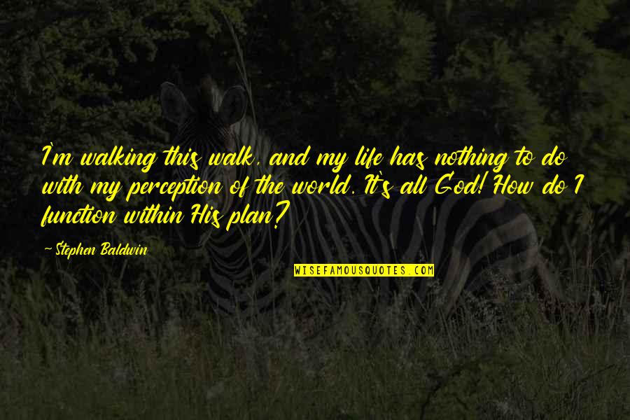 God Has Plan For Us Quotes By Stephen Baldwin: I'm walking this walk, and my life has