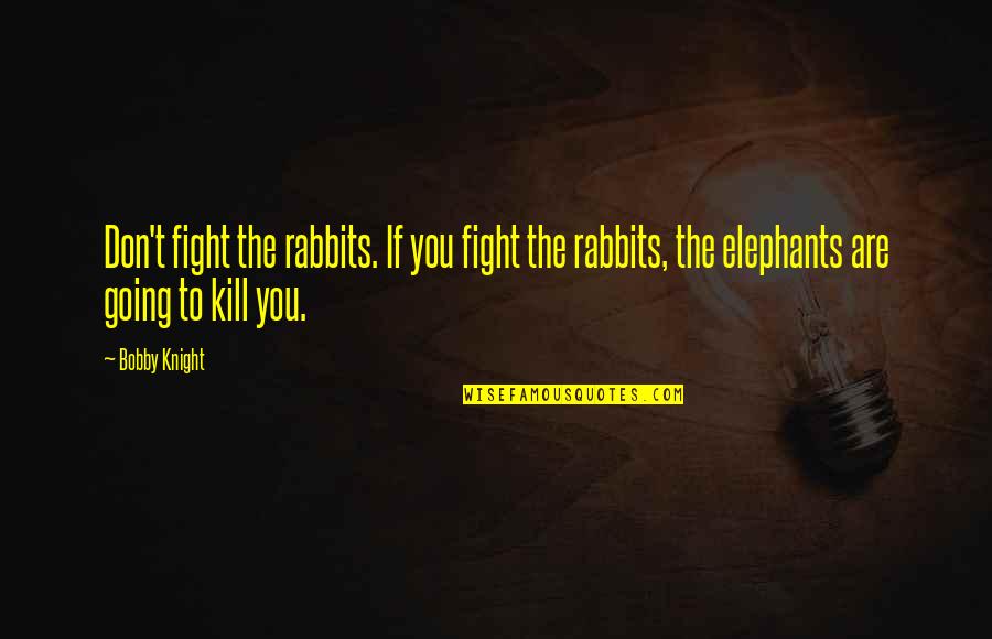 God Has You Parked Quotes By Bobby Knight: Don't fight the rabbits. If you fight the God Has You Parked Quotes By Bobby Knight: Don't fight the rabbits. If you fight the