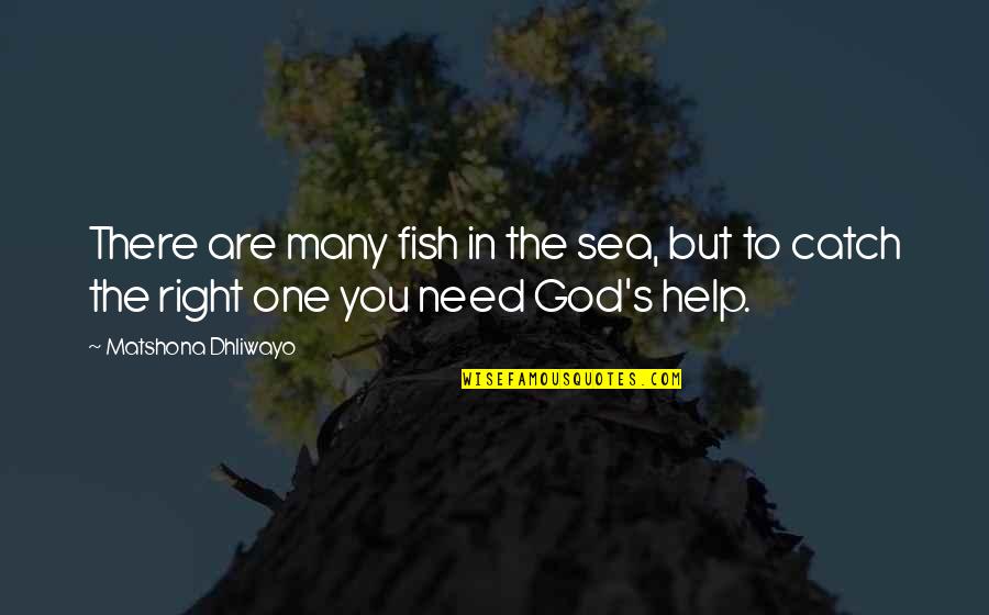 God Help You Quotes By Matshona Dhliwayo: There are many fish in the sea, but