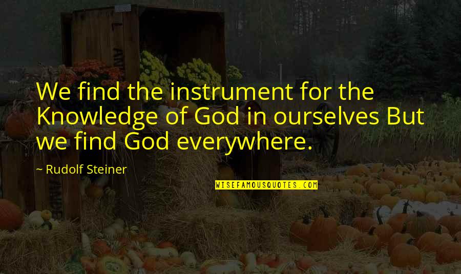 God Instrument Quotes By Rudolf Steiner: We find the instrument for the Knowledge of