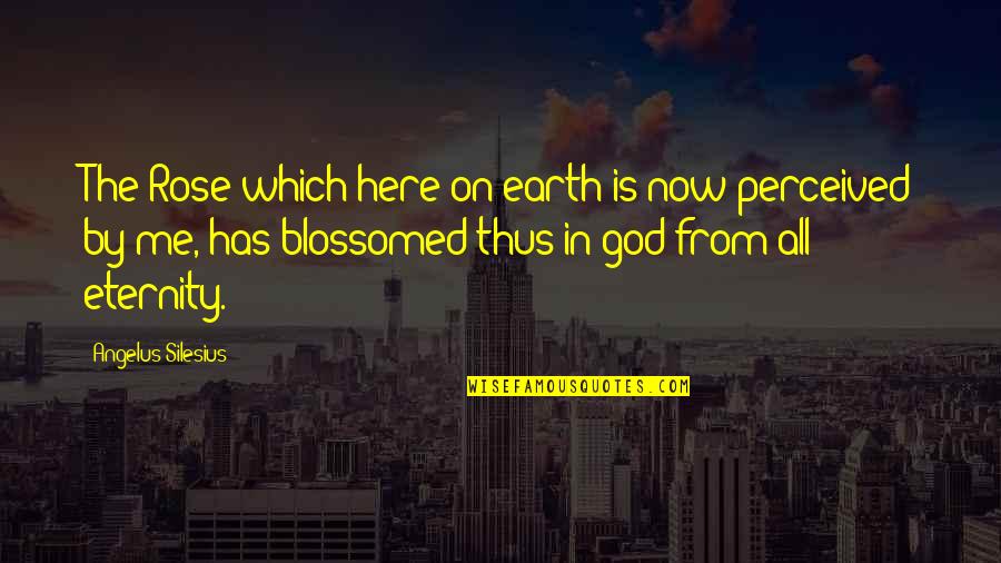 God Is All Quotes By Angelus Silesius: The Rose which here on earth is now God Is All Quotes By Angelus Silesius: The Rose which here on earth is now