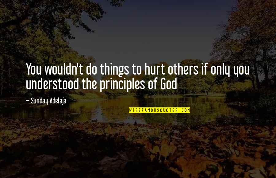 God Is Blessing You Quotes By Sunday Adelaja: You wouldn't do things to hurt others if