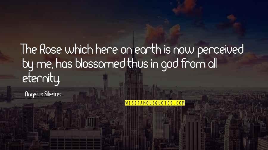 God Is Here For Me Quotes By Angelus Silesius: The Rose which here on earth is now