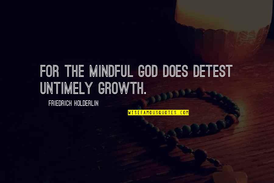 God Is Mindful Of Us Quotes By Friedrich Holderlin: For the mindful god does detest untimely growth.