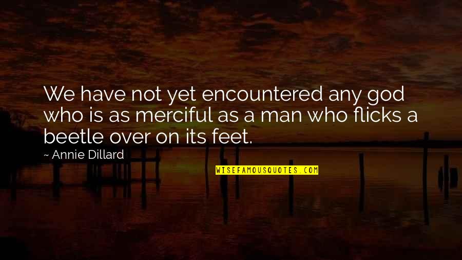 God Is Not Man Quotes By Annie Dillard: We have not yet encountered any god who God Is Not Man Quotes By Annie Dillard: We have not yet encountered any god who