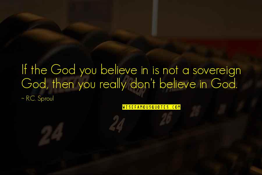 God Is Sovereign Quotes By R.C. Sproul: If the God you believe in is not