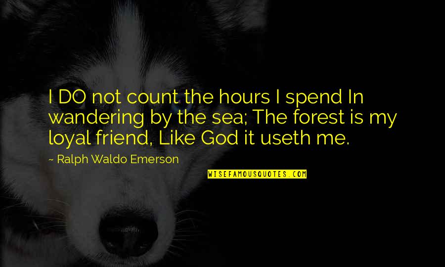 God Is The Only Friend Quotes By Ralph Waldo Emerson: I DO not count the hours I spend