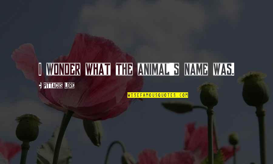 God Is Too Wise To Make A Mistake Quotes By Pittacus Lore: I wonder what the animal's name was. God Is Too Wise To Make A Mistake Quotes By Pittacus Lore: I wonder what the animal's name was.