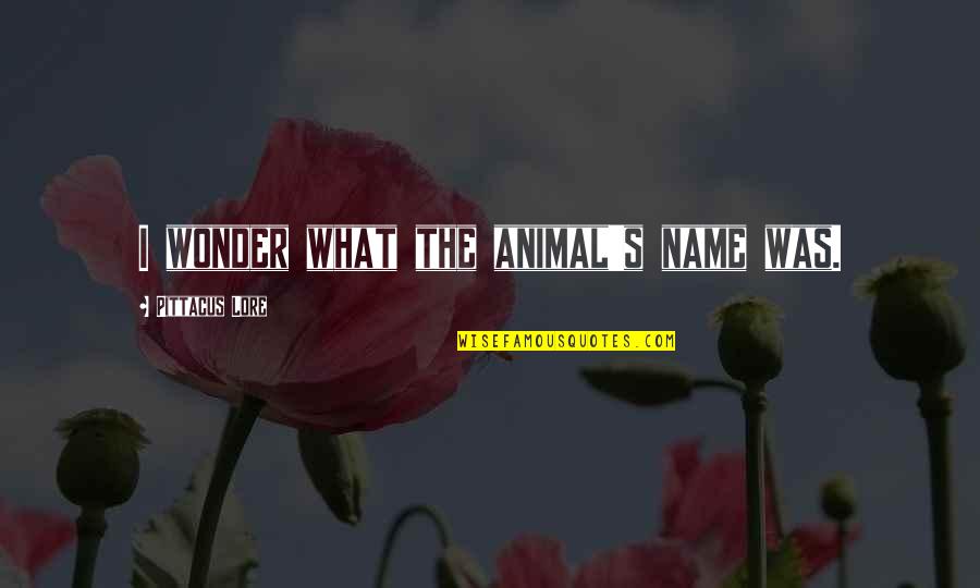 God Is Too Wise To Make A Mistake Quotes By Pittacus Lore: I wonder what the animal's name was.