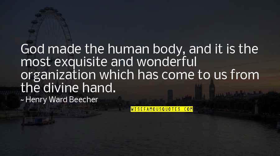 God Is Wonderful Quotes By Henry Ward Beecher: God made the human body, and it is