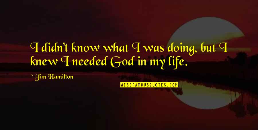 God Knew I Needed You Quotes By Jim Hamilton: I didn't know what I was doing, but