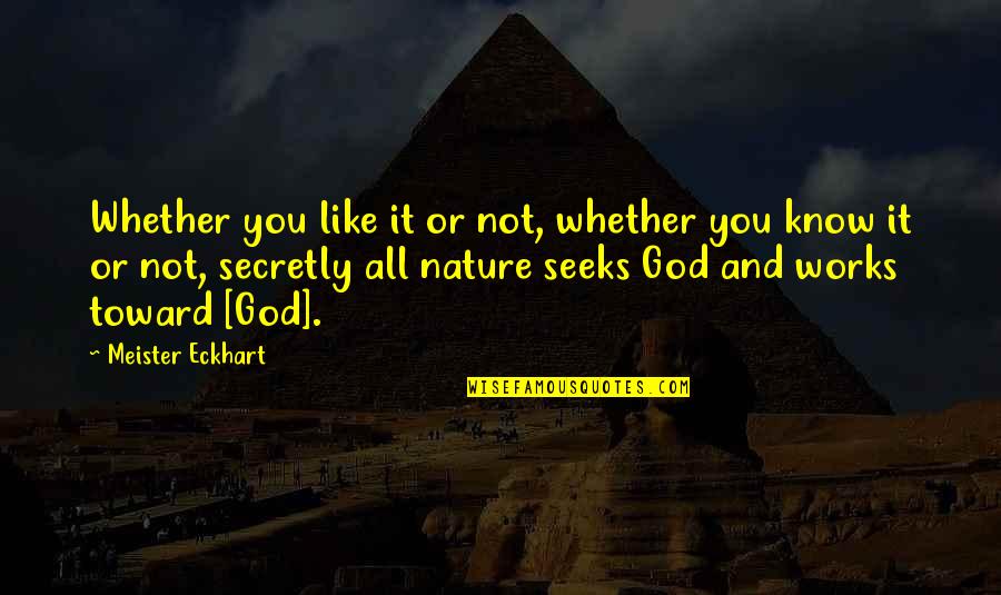 God Knows All Quotes By Meister Eckhart: Whether you like it or not, whether you