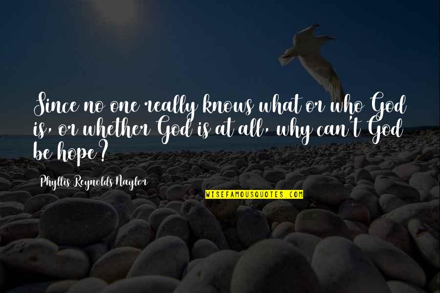 God Knows All Quotes By Phyllis Reynolds Naylor: Since no one really knows what or who