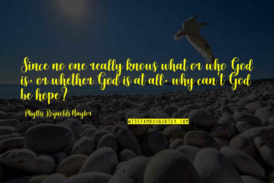 God Knows Quotes By Phyllis Reynolds Naylor: Since no one really knows what or who