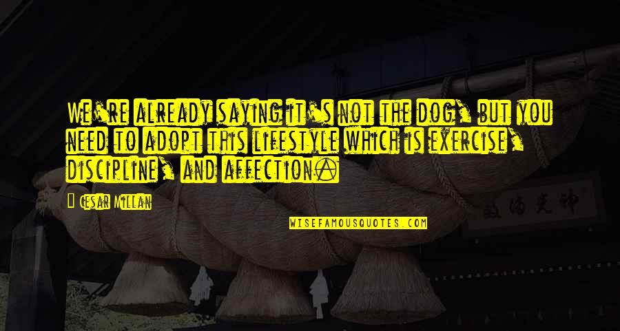 God Knows The Way Quotes By Cesar Millan: We're already saying it's not the dog, but God Knows The Way Quotes By Cesar Millan: We're already saying it's not the dog, but