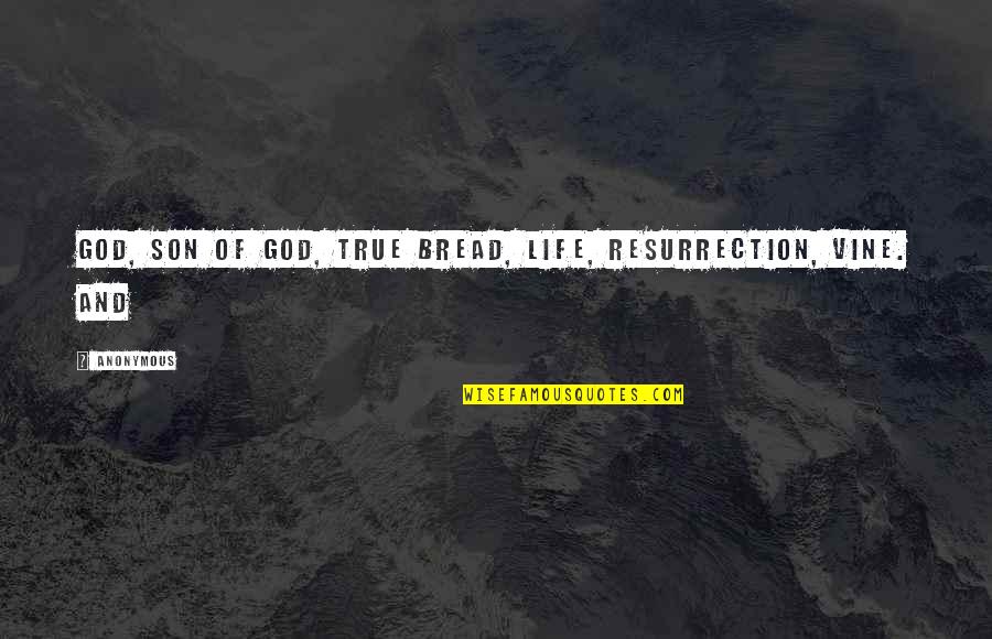 God Life Quotes By Anonymous: God, Son of God, true bread, life, resurrection,