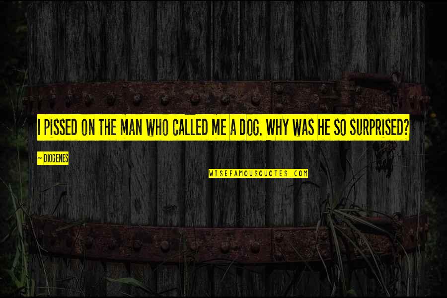 God Love Sayings And Quotes By Diogenes: I pissed on the man who called me