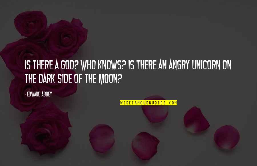 God My Side Quotes By Edward Abbey: Is there a God? Who knows? Is there