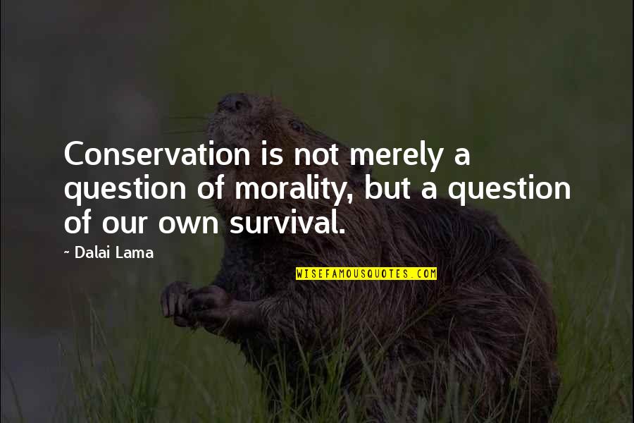 God Of Conquest Quotes By Dalai Lama: Conservation is not merely a question of morality,