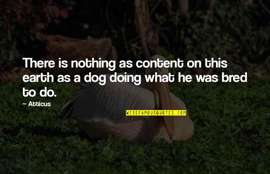 God Of Small Things Funny Quotes By Atticus: There is nothing as content on this earth