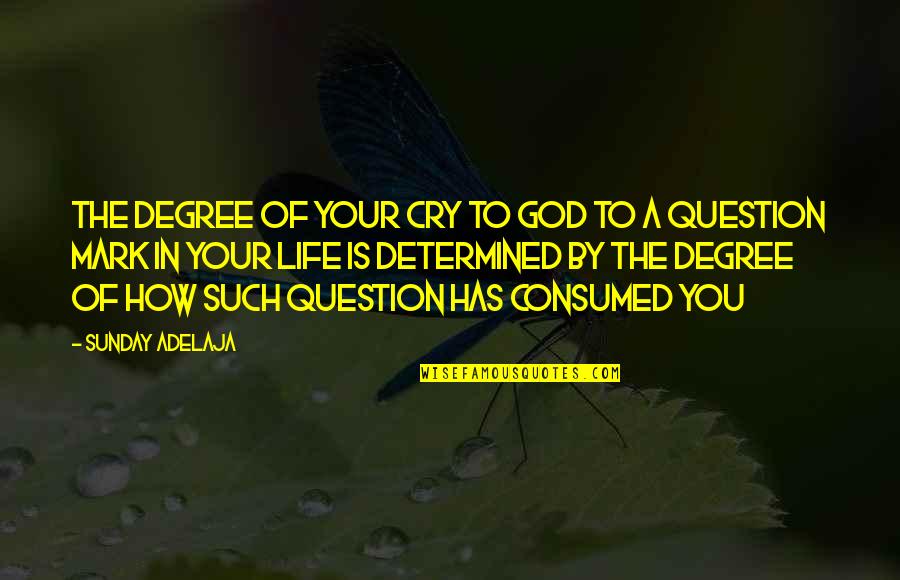 God Question Quotes By Sunday Adelaja: The degree of your cry to God to God Question Quotes By Sunday Adelaja: The degree of your cry to God to