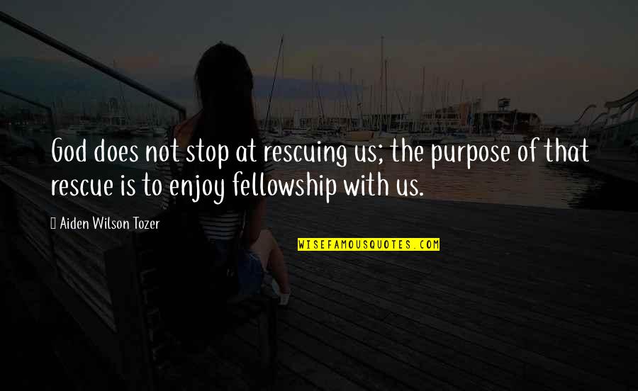 God Rescuing Us Quotes By Aiden Wilson Tozer: God does not stop at rescuing us; the God Rescuing Us Quotes By Aiden Wilson Tozer: God does not stop at rescuing us; the