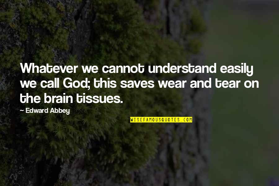 God Saves Quotes By Edward Abbey: Whatever we cannot understand easily we call God;