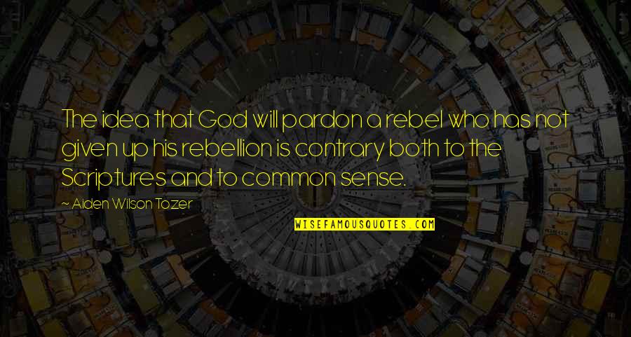 God Scripture Quotes By Aiden Wilson Tozer: The idea that God will pardon a rebel