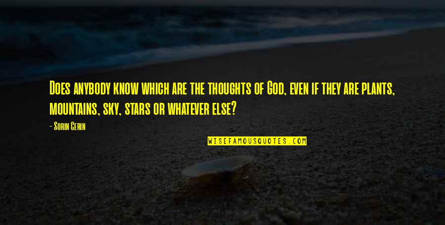 God Stars Quotes By Sorin Cerin: Does anybody know which are the thoughts of