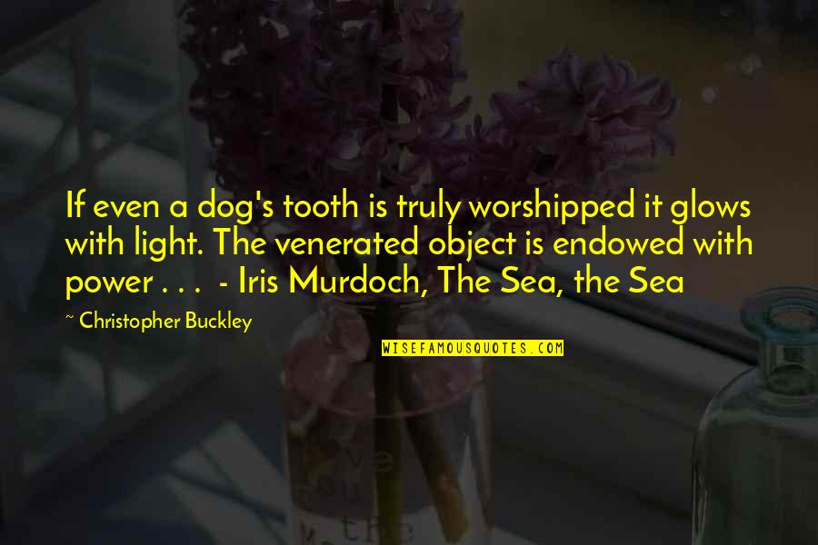 God Taking Away Quotes By Christopher Buckley: If even a dog's tooth is truly worshipped