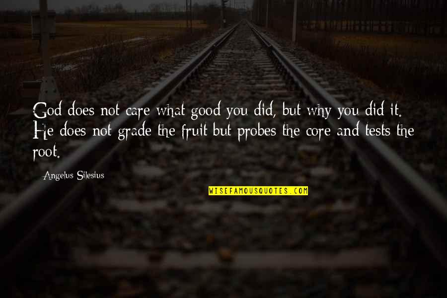 God Tests Us Quotes By Angelus Silesius: God does not care what good you did,