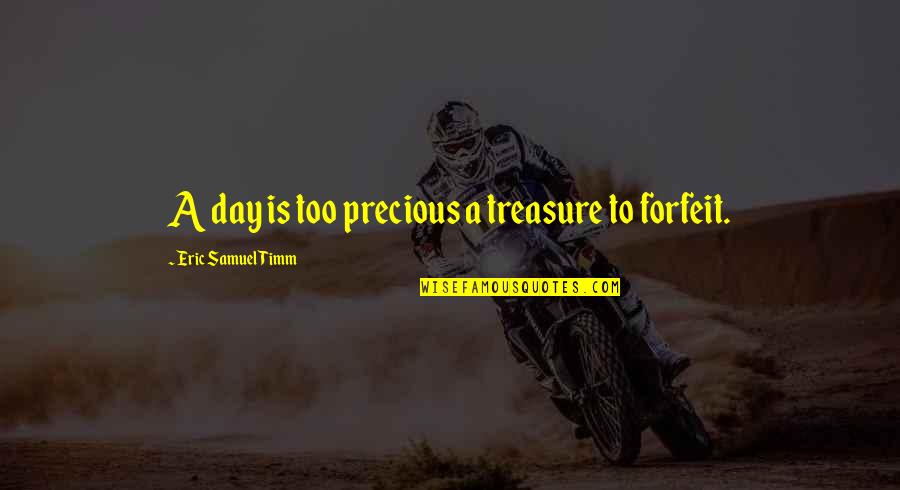 God Treasure Quotes By Eric Samuel Timm: A day is too precious a treasure to