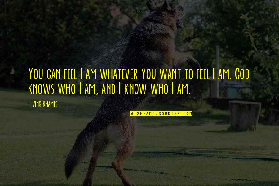 God Want You To Know Quotes By Ving Rhames: You can feel I am whatever you want