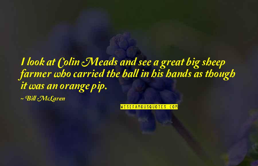 God Watch Over My Friend Quotes By Bill McLaren: I look at Colin Meads and see a
