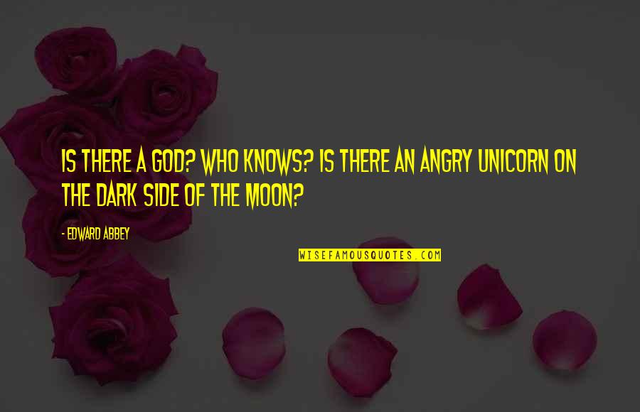 God Who Is There Quotes By Edward Abbey: Is there a God? Who knows? Is there
