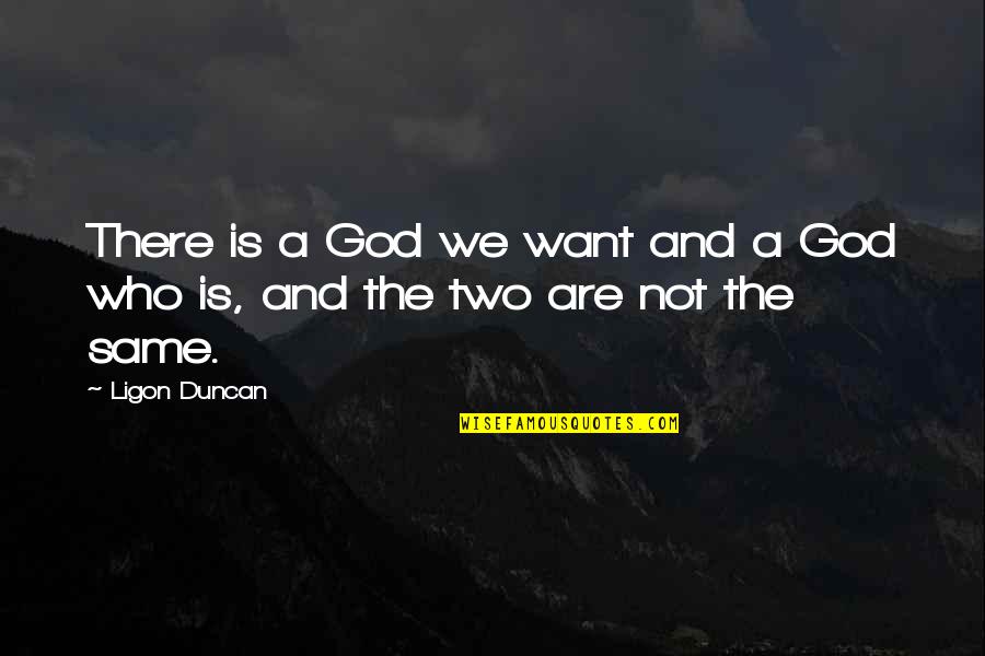 God Who Is There Quotes By Ligon Duncan: There is a God we want and a