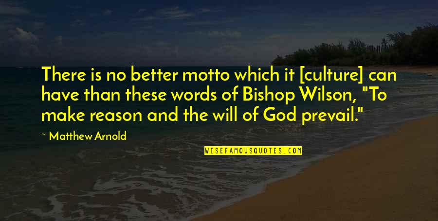 God Will Make It Better Quotes By Matthew Arnold: There is no better motto which it [culture]