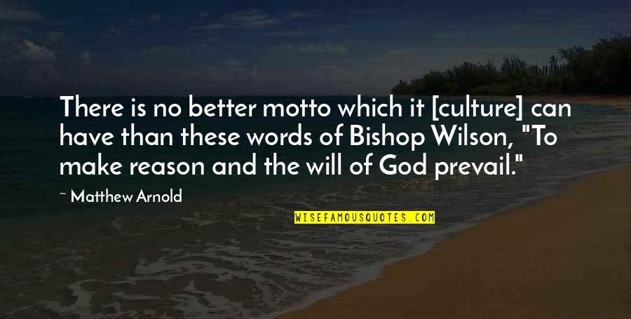 God Will Prevail Quotes By Matthew Arnold: There is no better motto which it [culture]