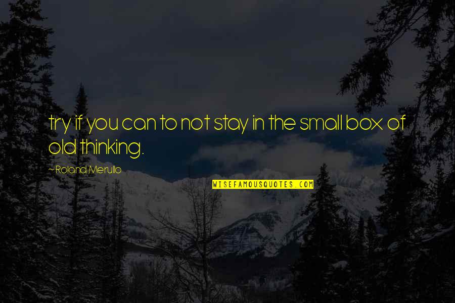 God Winks Quotes By Roland Merullo: try if you can to not stay in God Winks Quotes By Roland Merullo: try if you can to not stay in