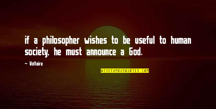 God Wishes Quotes By Voltaire: if a philosopher wishes to be useful to